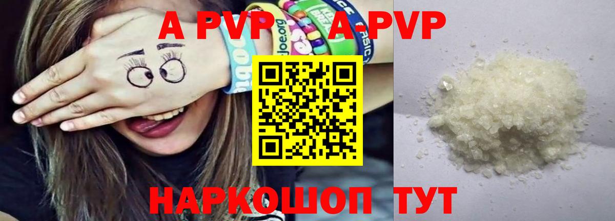 A PVP СК Мыски