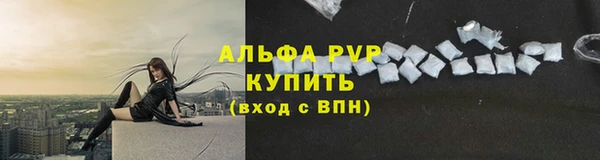 ECSTASY Лабытнанги