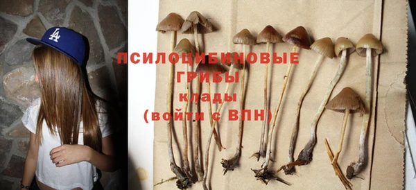ECSTASY Лабытнанги