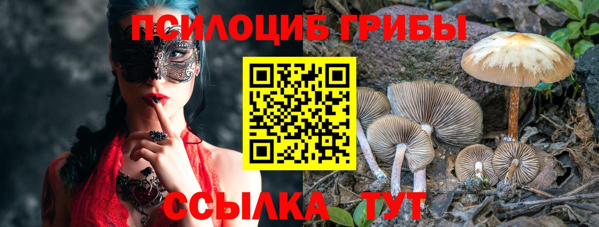Псилоцибиновые грибы MAGIC MUSHROOMS Мыски