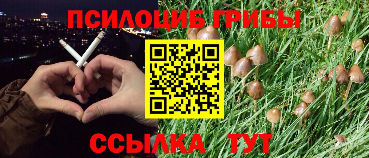 Галлюциногенные грибы MAGIC MUSHROOMS Мыски